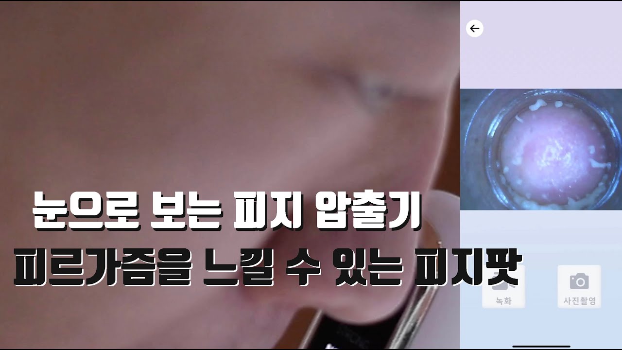 땡땡특별시