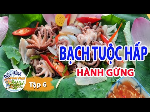 #6 Bạch tuộc hấp hành gừng giòn giòn chấm nước mắm chua ngọt | CSTD Cuộc sống tươi đẹp