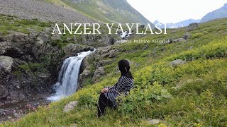 Anzer Yaylasi 4K Belgesel Tadinda Doğanın Kalbine Yolculuk