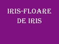 Iris-Floare de Iris