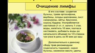 Народные средства при очищении лимфы Народные средства при очищении лимфы