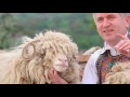 Oficial Cristian Pomohaci Dragi Mi S Mie Oile images Oficial Cristian Pomohaci Dragi Mi S Mie Oile