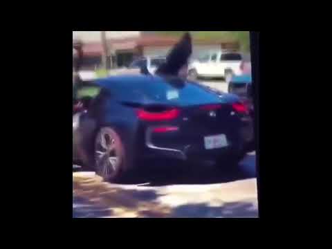 xxxtentacion shot dead | live footage xxxtentacion shot dead | live footage