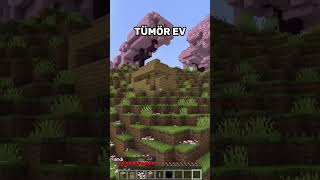 En Iyi Minecraft Evleri
