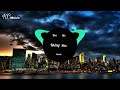 Hoa Nở Không Màu( Bibo Remix ) | Hoài Lâm