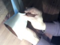 Origami Lemur (page 1). YouTube Animal Video Tutorials