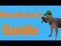 Master Clue Efficiency Guide (BLOODHOUND GUIDE) OSRS