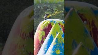 Boom. Headshot. Pro Paintball.