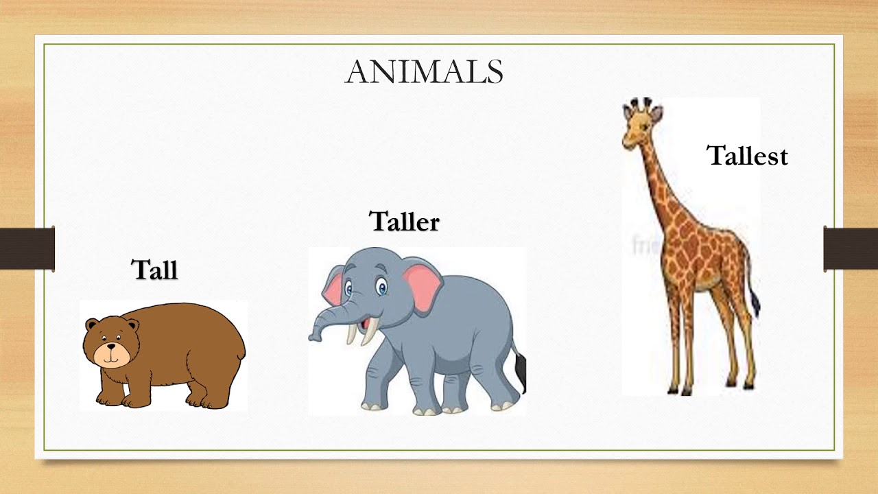 Small vs tall pictures