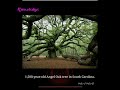 World Amazing Facts On Knowledge Channel