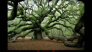 World Amazing Facts On Knowledge Channel