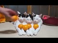 みかんピラミッド　Mandarin orange pyramid