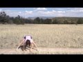 Desert Chill Yoga Moves