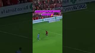 4blADVJ-UbM Video Image