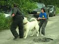 Немає описів. 