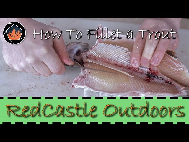Watch How to Fillet a Trout the Right Way on YouTube.
