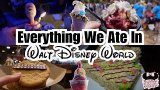 Everything We Ate In Walt Disney World On Our 7 Night Trip