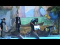 Видео Киев дельфинарий "Немо"