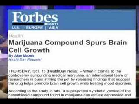 The War on Drugs: What a Joke! (MUST-SEE VIDEO!!)