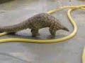 Ajeeb U Gareeb Found In Our Factory images Ajeeb U Gareeb Found In Our Factory