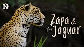 Zapa & The Jaguar A Wildlife Conservation Film
