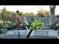 Illusionary flower