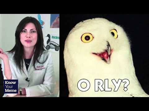 Know Your Meme: O RLY? - YouTube