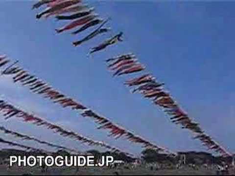 Sagamihara Koinobori carp streamers 相模原 鯉のぼり
