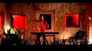 Watch Animal Collective What Happened video