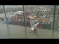 Seagull Rescue
