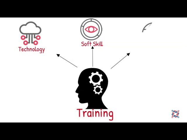 Profuse TransTech Services