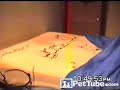 pettube