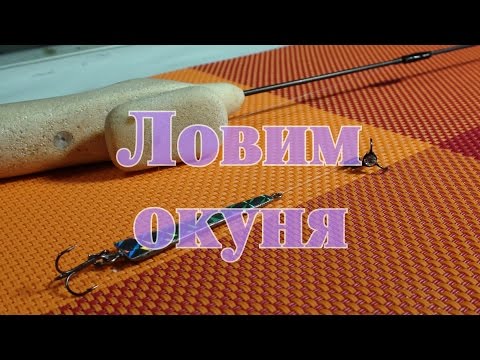 советы начинающим рыбакам советы начинающим рыбакам