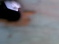 Ngintip Orang Lagi Mesum images Ngintip Orang Lagi Mesum