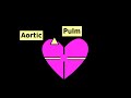 Cardiac Murmur Auscultation: Quick/Easy heart stethoscope identification tutorial