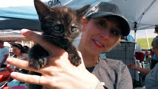 C.A.R.E.4Paws' Wags n' Whiskers Festival 2019