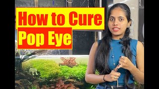 How To Cure Popeye Disease Aquarium Fish Learn With Pooja Mayur Dev Tips On Fish Keeping Hd