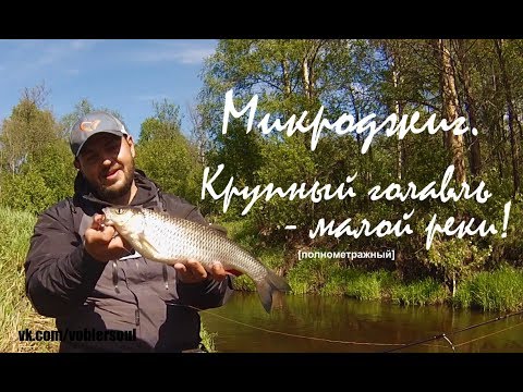 микроджиг рак микроджиг рак