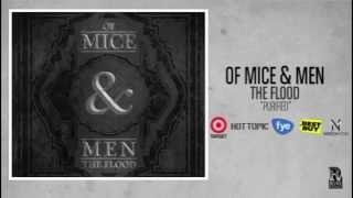Watch Of Mice  Men Purified video