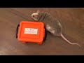 mouse decorates the christmas tree
