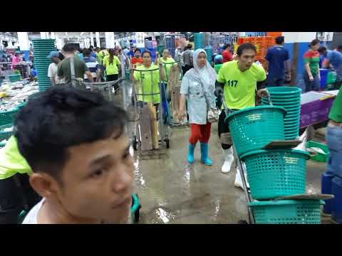 แกว่งเท้าหาเรื่อง ตอน ตลาดทะเลไทย ตลาดอาหารทะเลขนาดใหญ่ของ จ. สมุทรสาคร