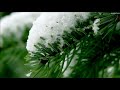 Тихое время с Живой Жизнью: 2 Паралипоменон 25:14–28 (05122018) Тихое время с Живой Жизнью: 2 Паралипоменон 25:14–28 (05122018)