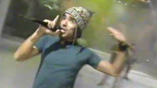 Watch Cafe Tacuba Ingrata video