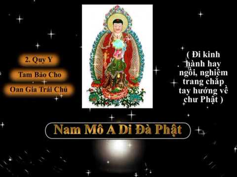 Lời Dạy Cách Giải Trừ Oan Gia Trái Chủ (Thích Trí Thoát tụng) (Có Phụ Đề)