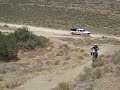 gorman