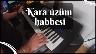 Hakan Çebi - Kara üzüm habbesi - Yamaha psr A5000