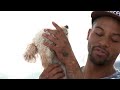 BMX Chris Brown Skatepark Session for Stolen Bikes