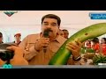 Nicolás Maduro ofrece pepino gigante a PPK para que reflexione