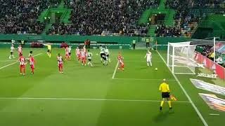 4h0ZTOqVpVo Video Image