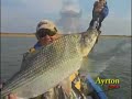 Video de Programa de pesca - ayrton pesca